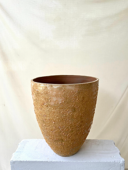 Earth Series I
